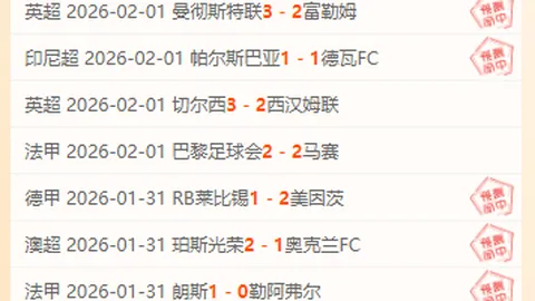 哈蘭德確信轉會皇馬，盼歐冠賽場驕橫一線